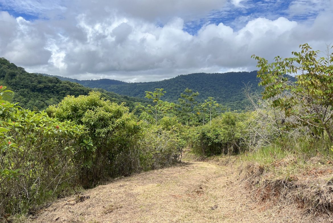 OCEAN VIEW LOT WITH WATERFALL ACCESS IN GATED COMMUNITY – 1.55 ACRES