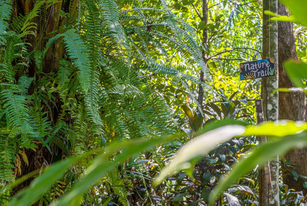 Bali Inspired Tropical Oasis – Ojochal