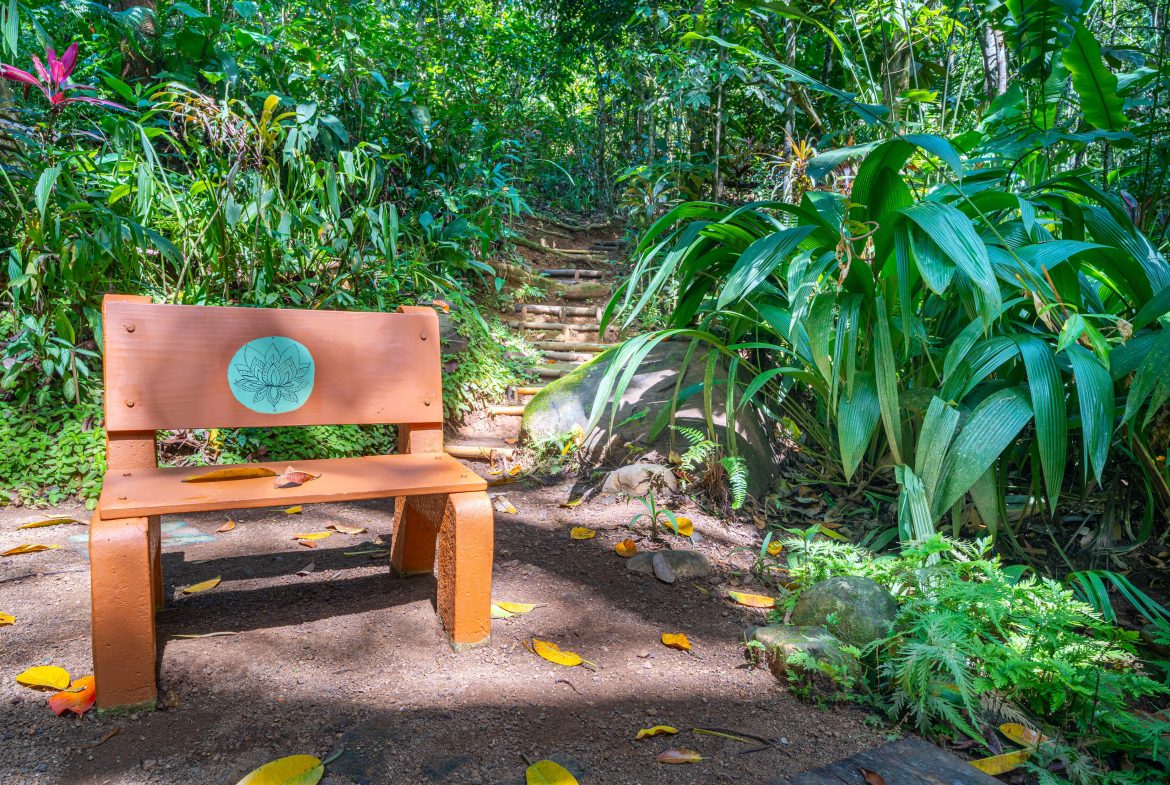 Bali Inspired Tropical Oasis – Ojochal