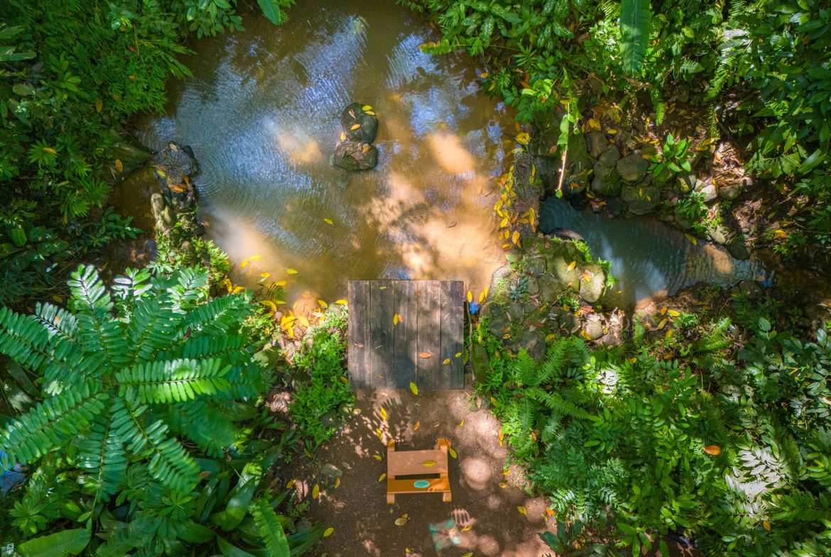 Bali Inspired Tropical Oasis – Ojochal