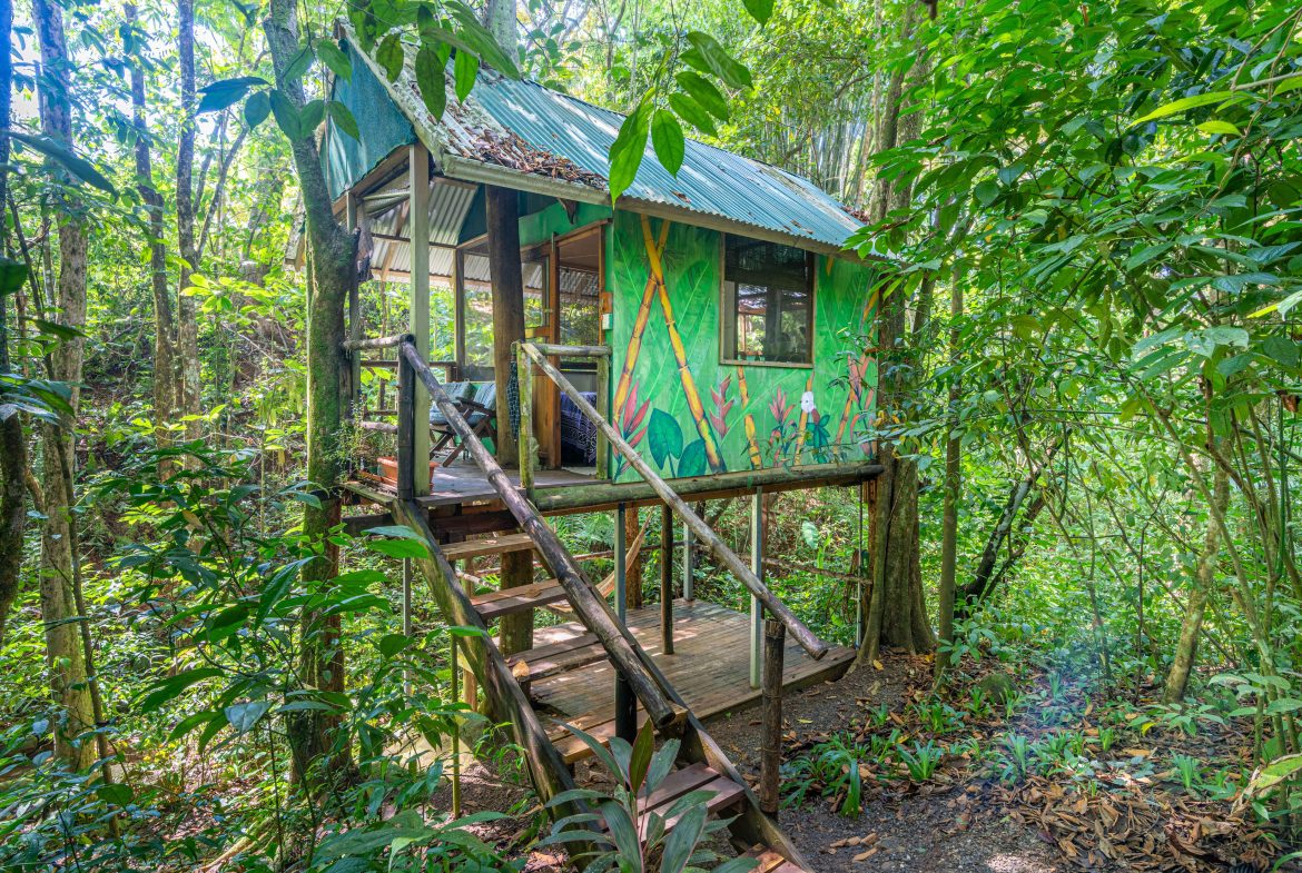 Bali Inspired Tropical Oasis – Ojochal