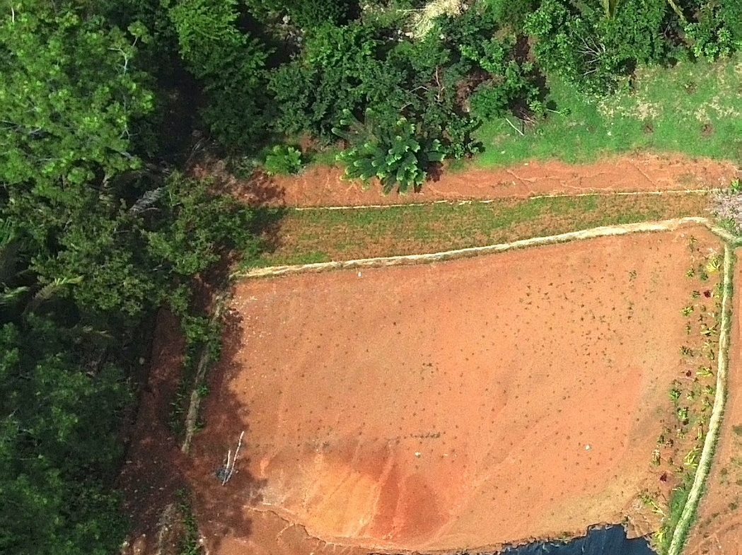LOTS STARTING AT $250K NEAR UVITA