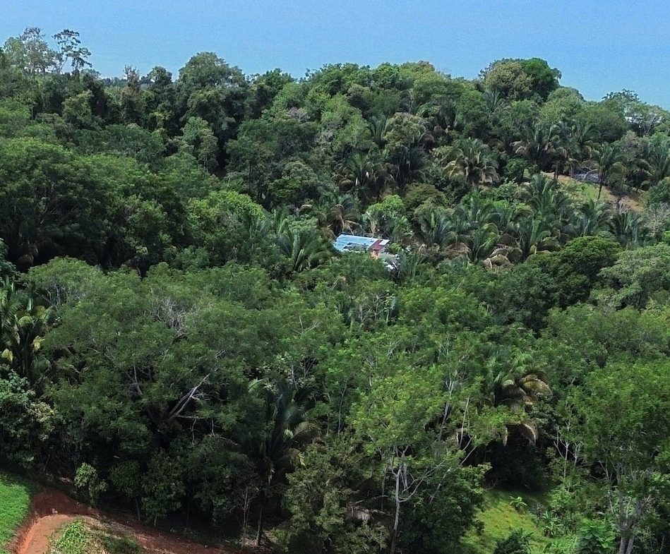 LOTS STARTING AT $250K NEAR UVITA