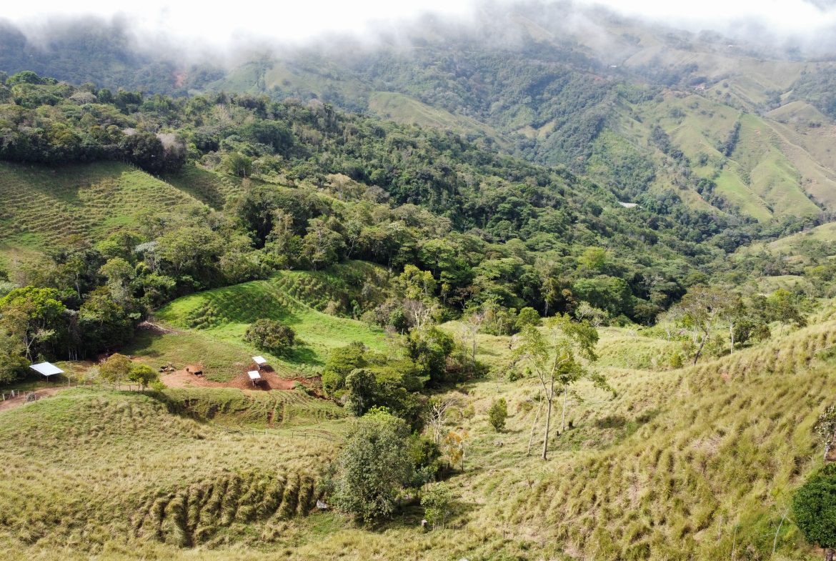 FARM WITH STRONG POTENTIAL FOR RESIDENTIAL DEVELOPMENT – 24.7 ACRES