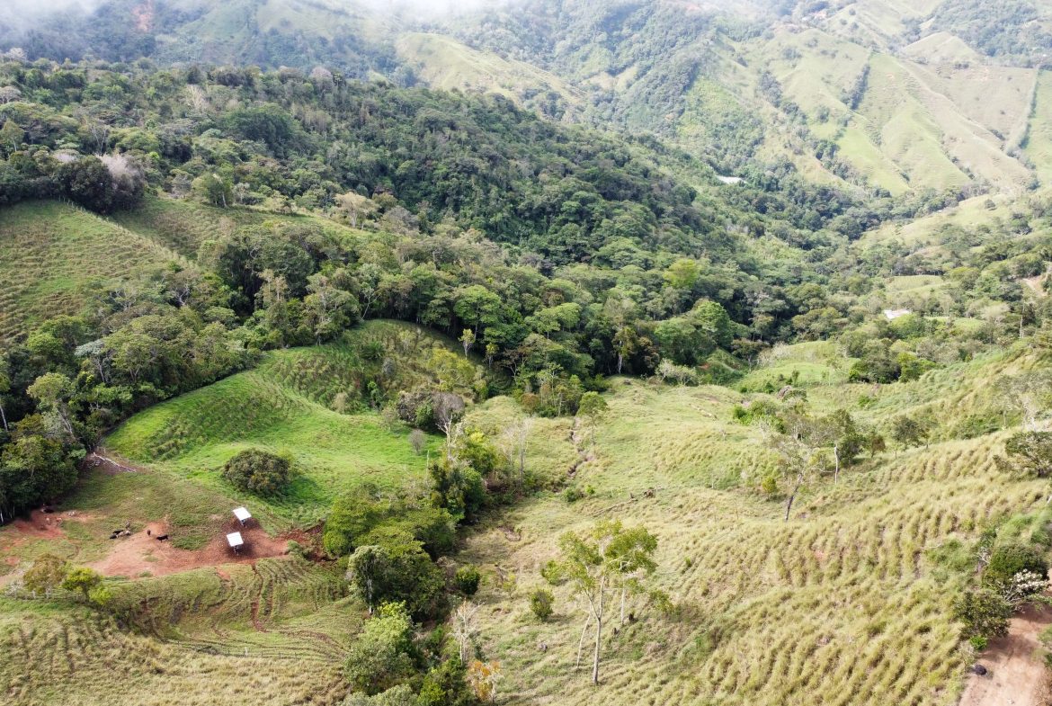 FARM WITH STRONG POTENTIAL FOR RESIDENTIAL DEVELOPMENT – 24.7 ACRES