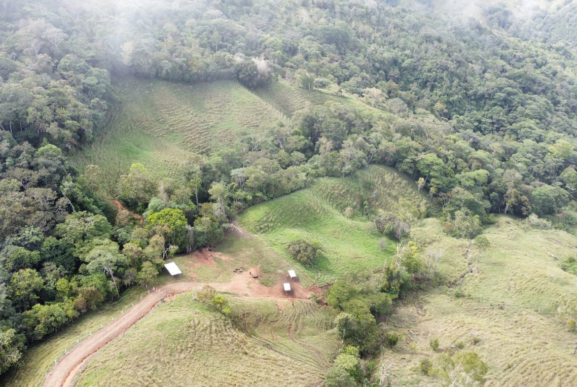 FARM WITH STRONG POTENTIAL FOR RESIDENTIAL DEVELOPMENT – 24.7 ACRES
