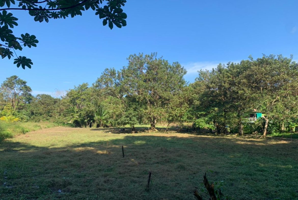 WALK TO BEACH DEVELOPMENT LAND – 1.5 ACRES