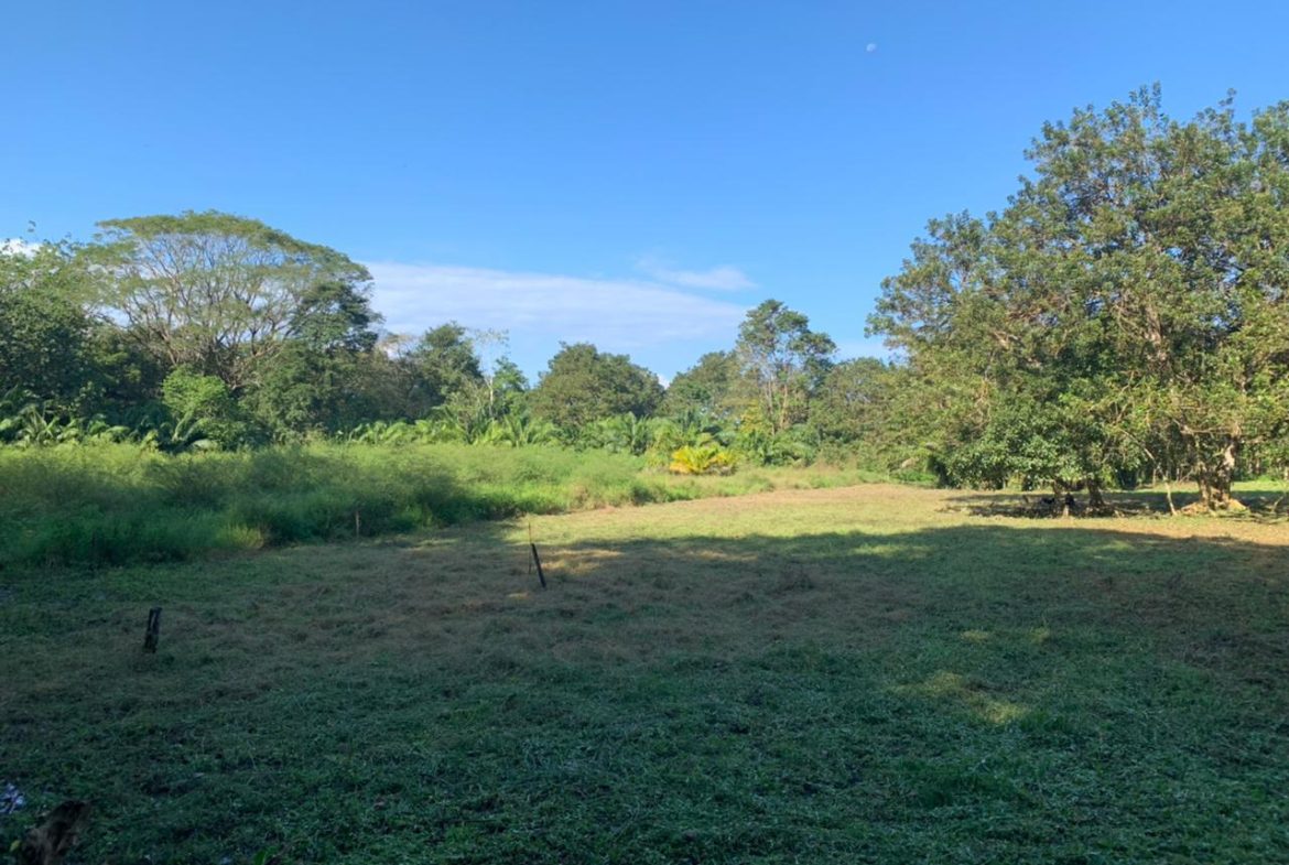 WALK TO BEACH DEVELOPMENT LAND – 1.5 ACRES