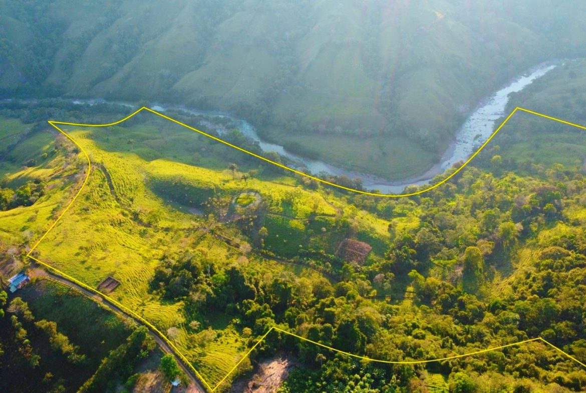 CHARMING 88 ACRES FARM WITH ABUNDANT NATURAL RESOURCES – 88.7 ACRES