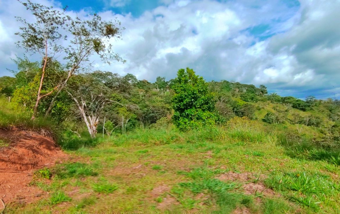 CHARMING 88 ACRES FARM WITH ABUNDANT NATURAL RESOURCES – 88.7 ACRES
