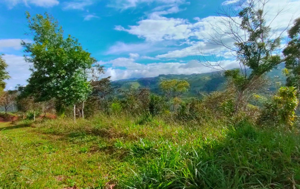 CHARMING 88 ACRES FARM WITH ABUNDANT NATURAL RESOURCES – 88.7 ACRES