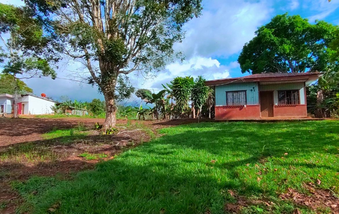 CHARMING 88 ACRES FARM WITH ABUNDANT NATURAL RESOURCES – 88.7 ACRES