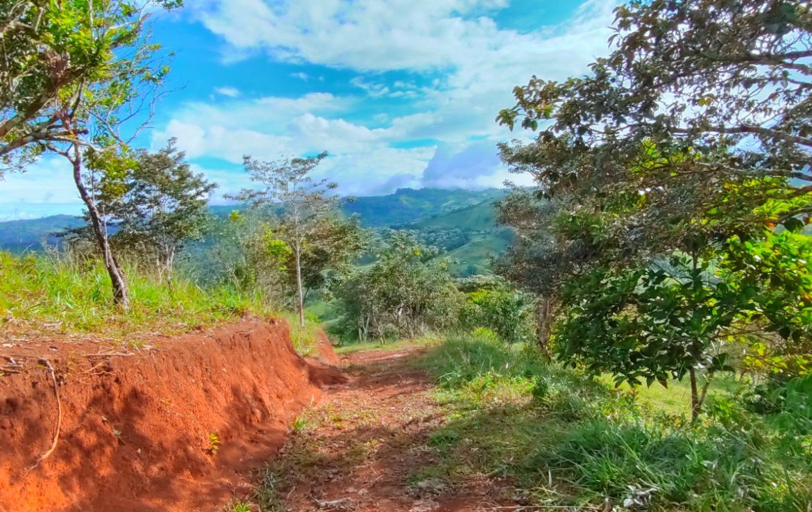 CHARMING 88 ACRES FARM WITH ABUNDANT NATURAL RESOURCES – 88.7 ACRES