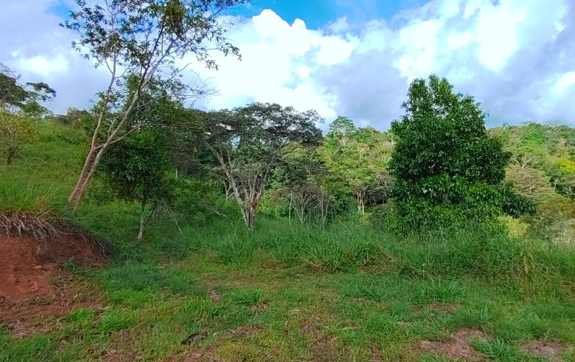 CHARMING 88 ACRES FARM WITH ABUNDANT NATURAL RESOURCES – 88.7 ACRES