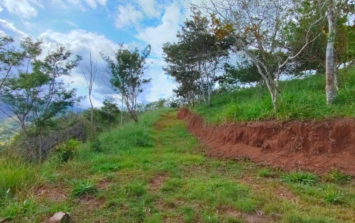 CHARMING 88 ACRES FARM WITH ABUNDANT NATURAL RESOURCES – 88.7 ACRES