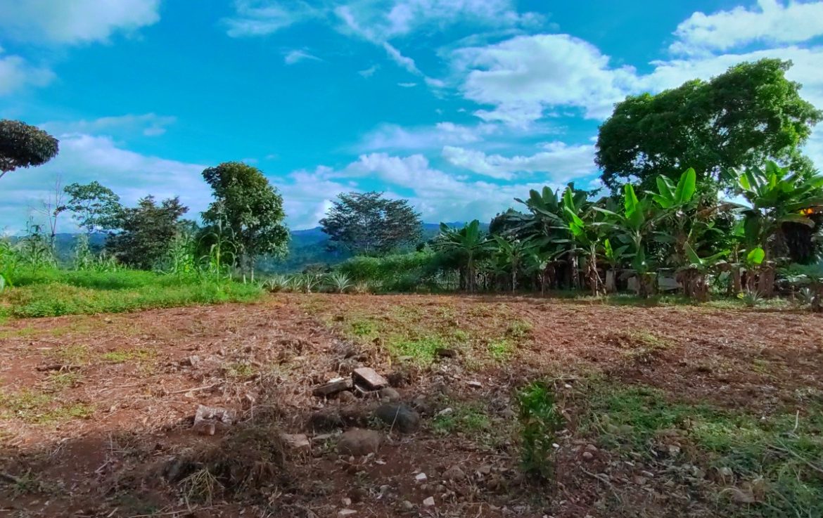 CHARMING 88 ACRES FARM WITH ABUNDANT NATURAL RESOURCES – 88.7 ACRES