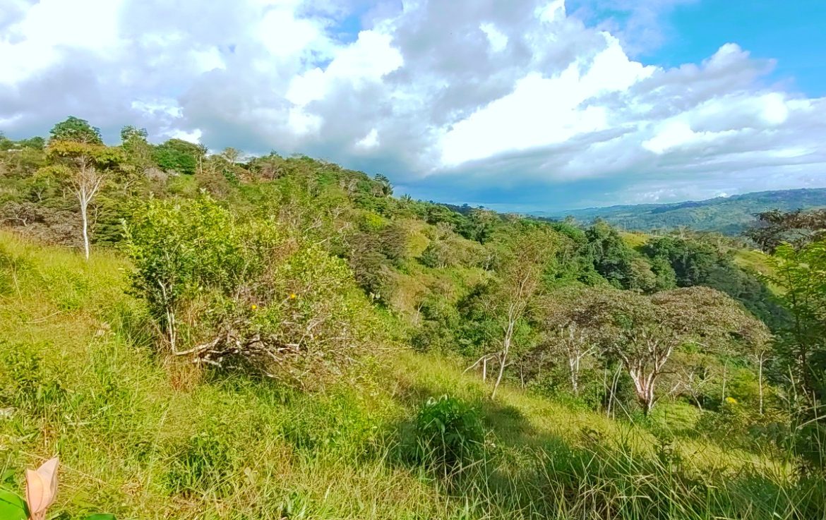CHARMING 88 ACRES FARM WITH ABUNDANT NATURAL RESOURCES – 88.7 ACRES