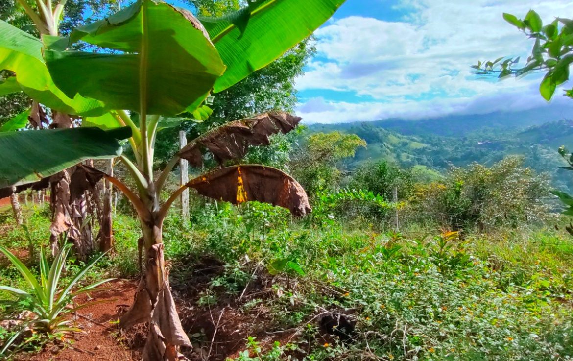 CHARMING 88 ACRES FARM WITH ABUNDANT NATURAL RESOURCES – 88.7 ACRES
