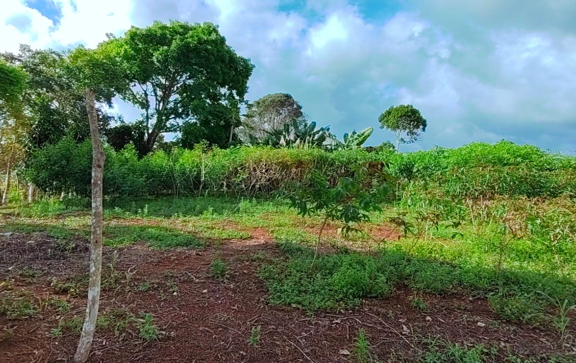 CHARMING 88 ACRES FARM WITH ABUNDANT NATURAL RESOURCES – 88.7 ACRES