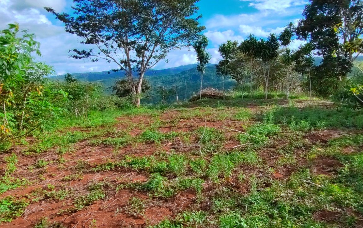 CHARMING 88 ACRES FARM WITH ABUNDANT NATURAL RESOURCES – 88.7 ACRES
