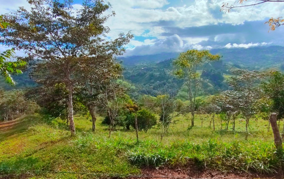 CHARMING 88 ACRES FARM WITH ABUNDANT NATURAL RESOURCES – 88.7 ACRES