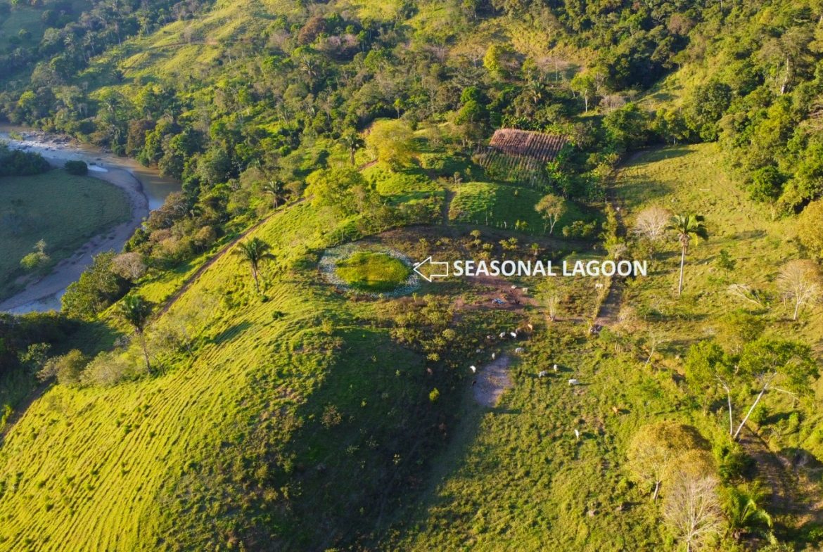 CHARMING 88 ACRES FARM WITH ABUNDANT NATURAL RESOURCES – 88.7 ACRES
