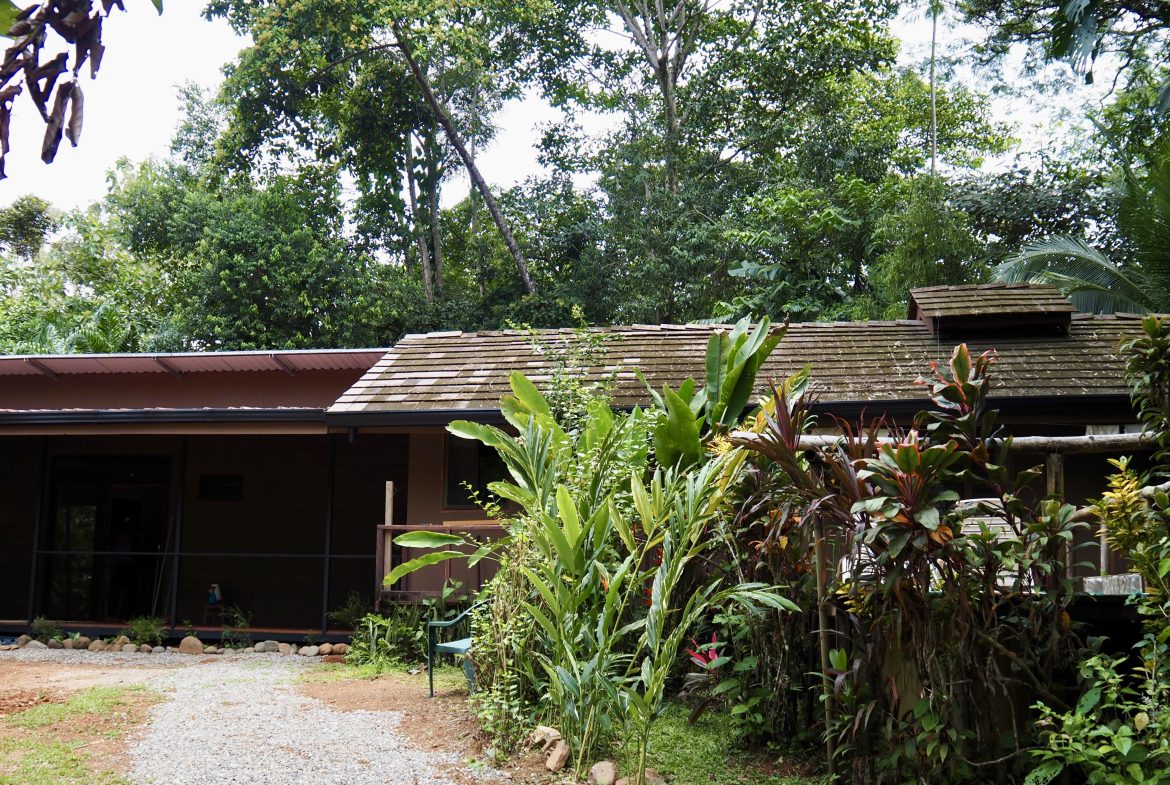 Bali Inspired Tropical Oasis – Ojochal