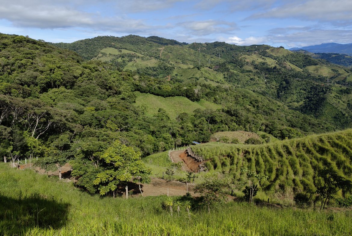 FARM WITH STRONG POTENTIAL FOR RESIDENTIAL DEVELOPMENT – 24.7 ACRES