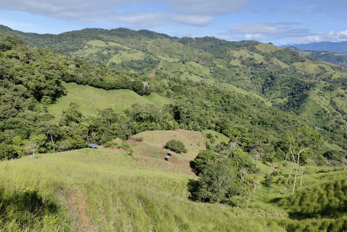 FARM WITH STRONG POTENTIAL FOR RESIDENTIAL DEVELOPMENT – 24.7 ACRES