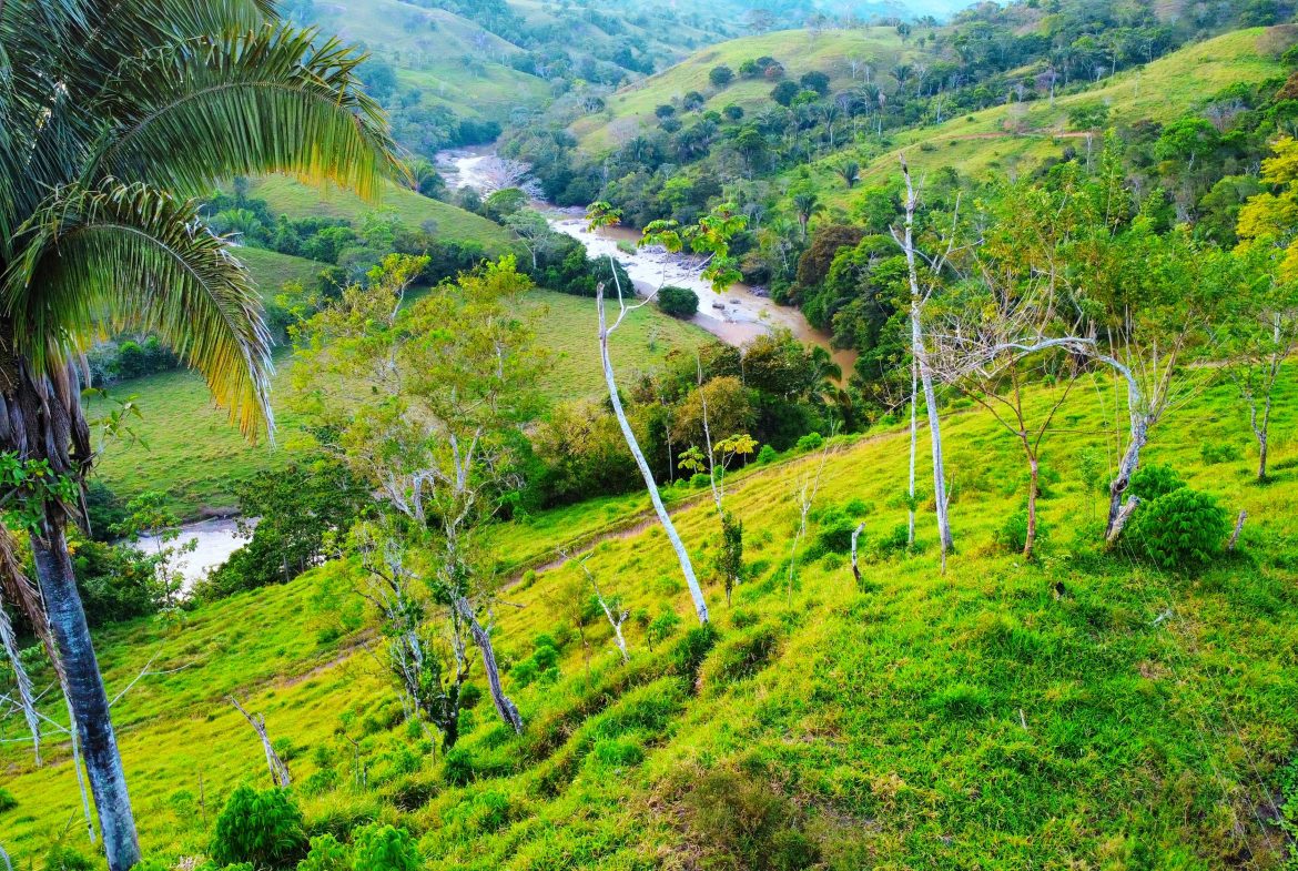 CHARMING 88 ACRES FARM WITH ABUNDANT NATURAL RESOURCES – 88.7 ACRES
