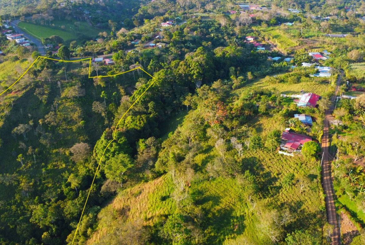 CHARMING 88 ACRES FARM WITH ABUNDANT NATURAL RESOURCES – 88.7 ACRES
