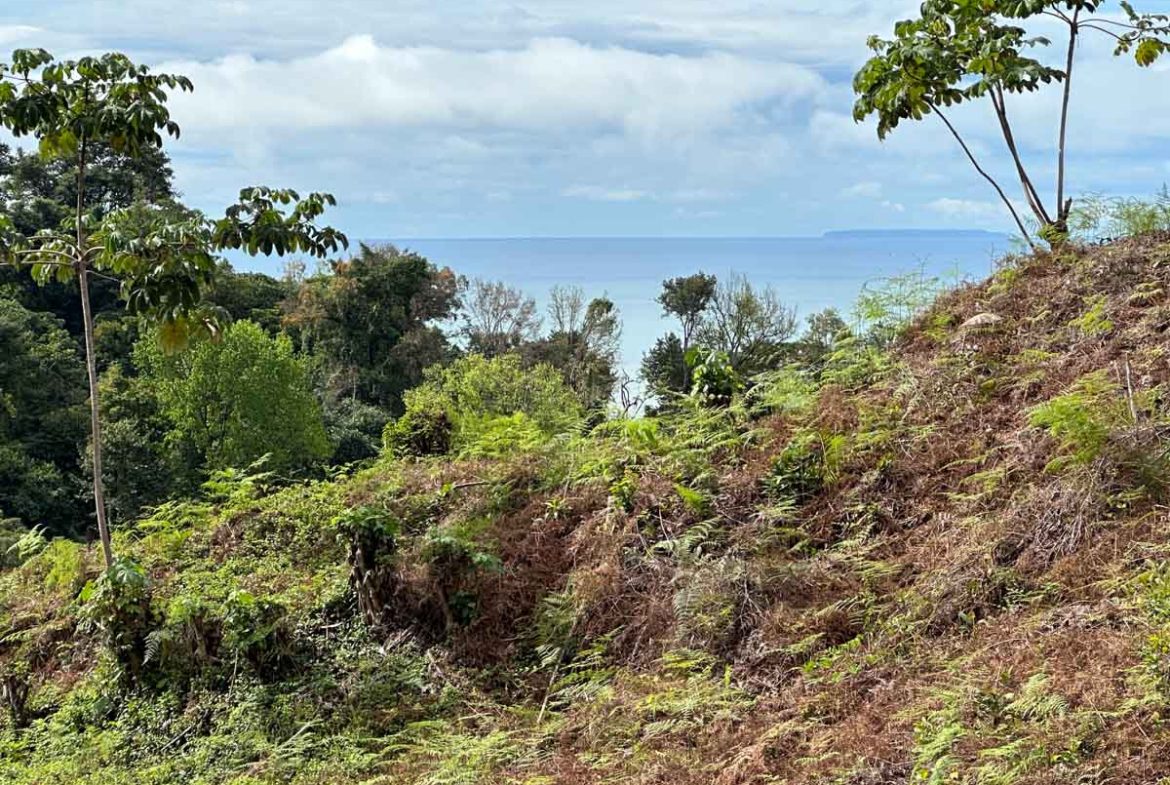 OCEAN AND MOUNTAIN VIEW LOT IN OJOCHAL – 0.65 ACRES