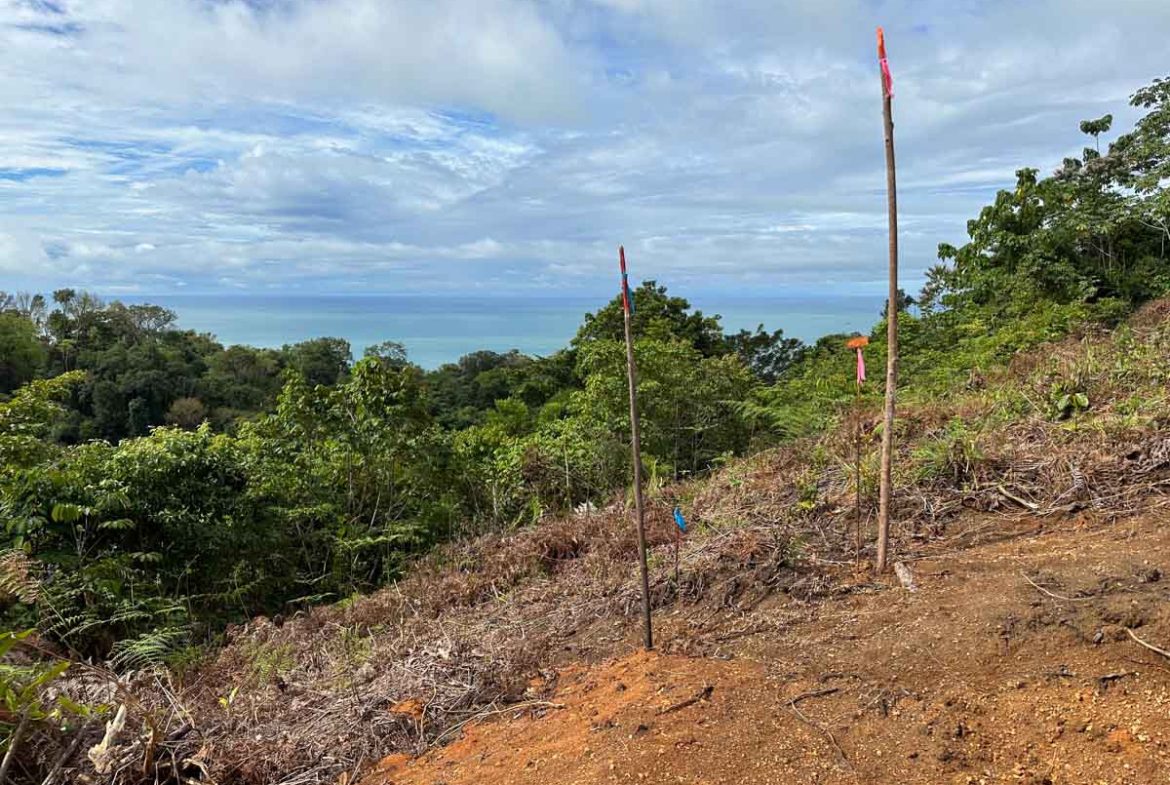 OCEAN AND MOUNTAIN VIEW LOT IN OJOCHAL – 0.65 ACRES