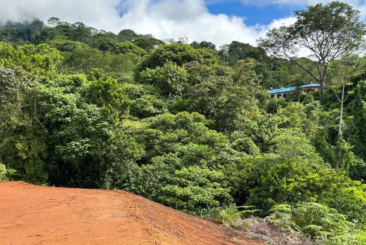 OCEAN AND MOUNTAIN VIEW LOT IN OJOCHAL – 0.65 ACRES