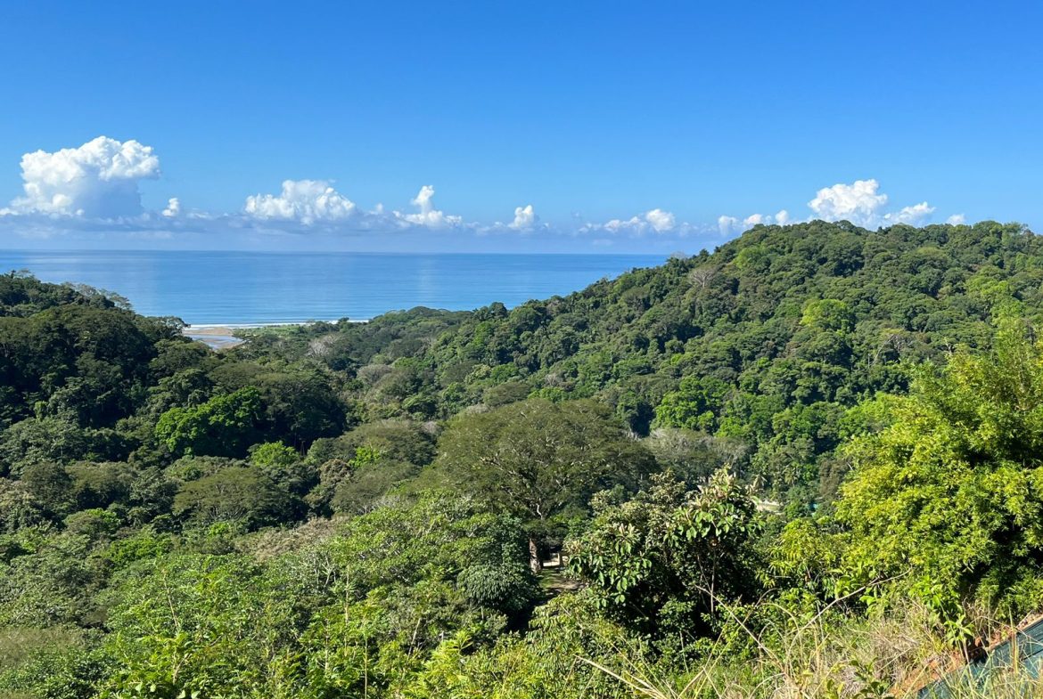 LOT READY TO BUILD WITH OCEAN VIEW AND MINUTES TO DOMINICAL – 1.5 ACRES