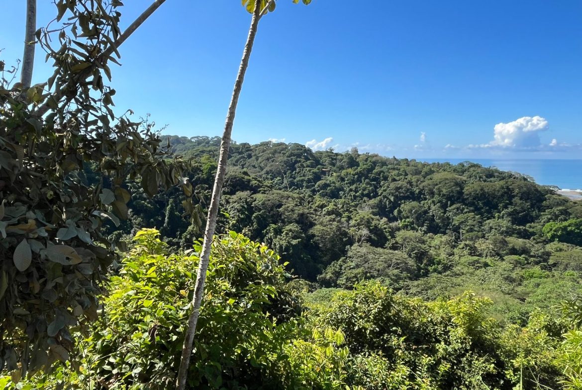 LOT READY TO BUILD WITH OCEAN VIEW AND MINUTES TO DOMINICAL – 1.5 ACRES