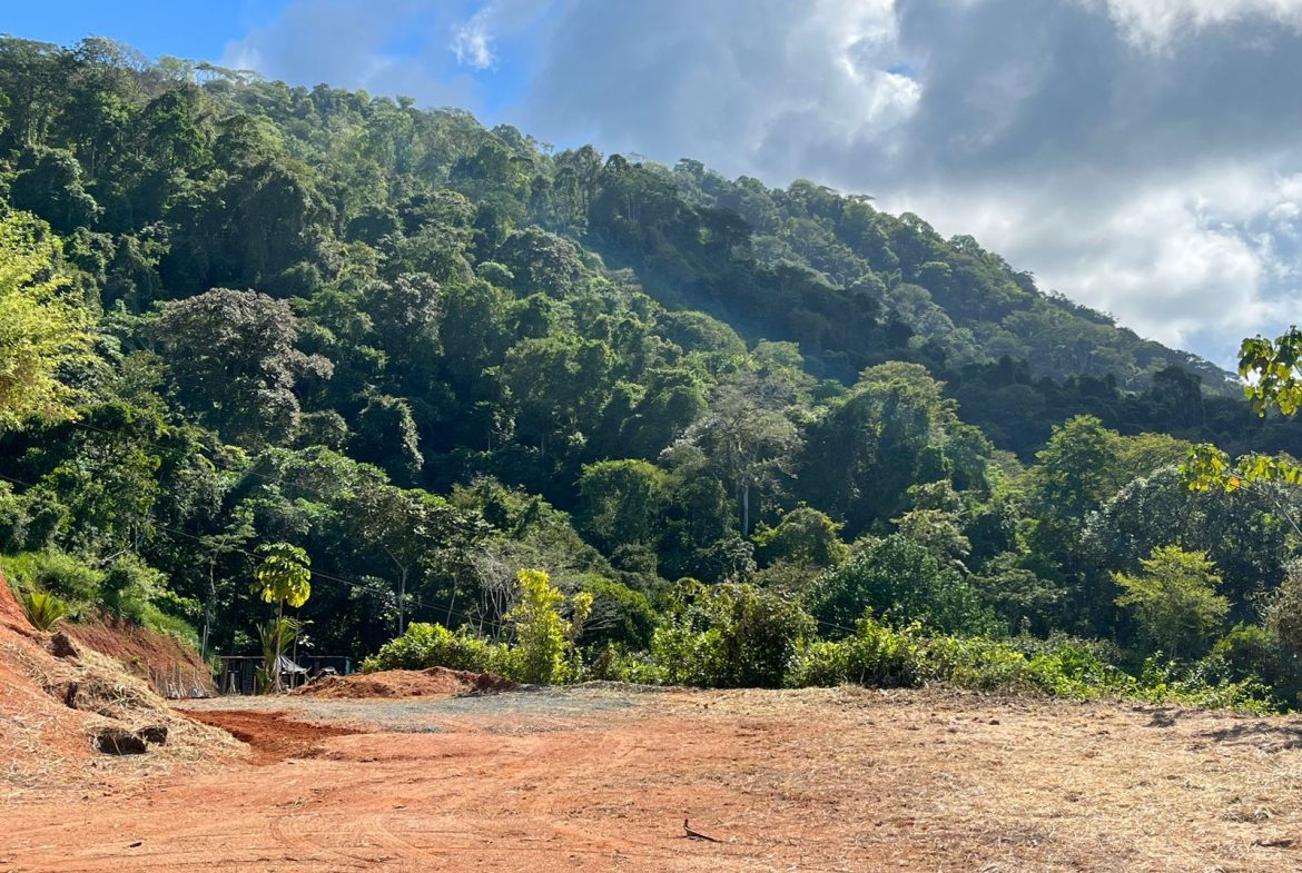 LOT READY TO BUILD WITH OCEAN VIEW AND MINUTES TO DOMINICAL – 1.5 ACRES
