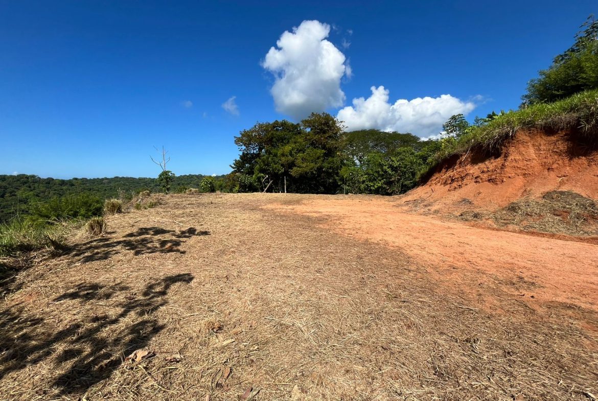 LOT READY TO BUILD WITH OCEAN VIEW AND MINUTES TO DOMINICAL – 1.5 ACRES
