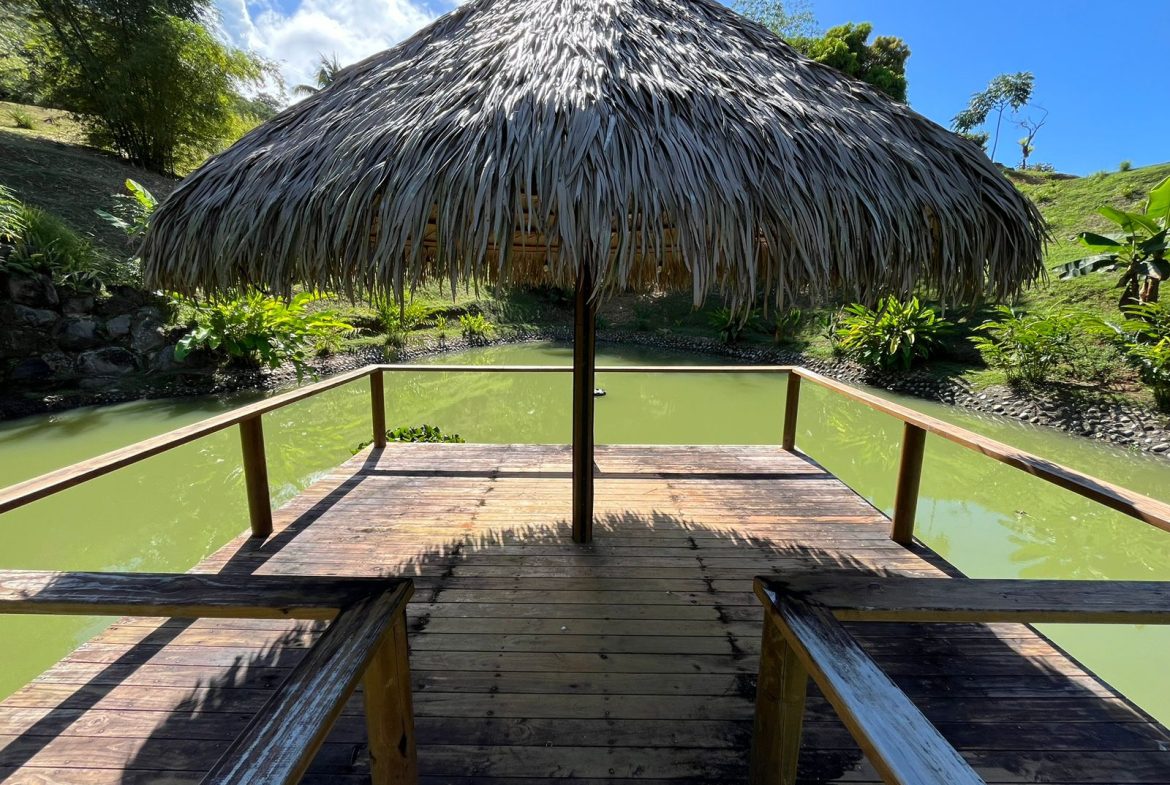 LOT READY TO BUILD WITH OCEAN VIEW AND MINUTES TO DOMINICAL – 1.5 ACRES