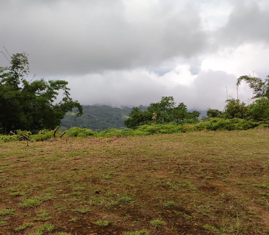 OCEAN AND MOUNTAIN VIEW PEACEFUL LOT – 5.6 ACRES