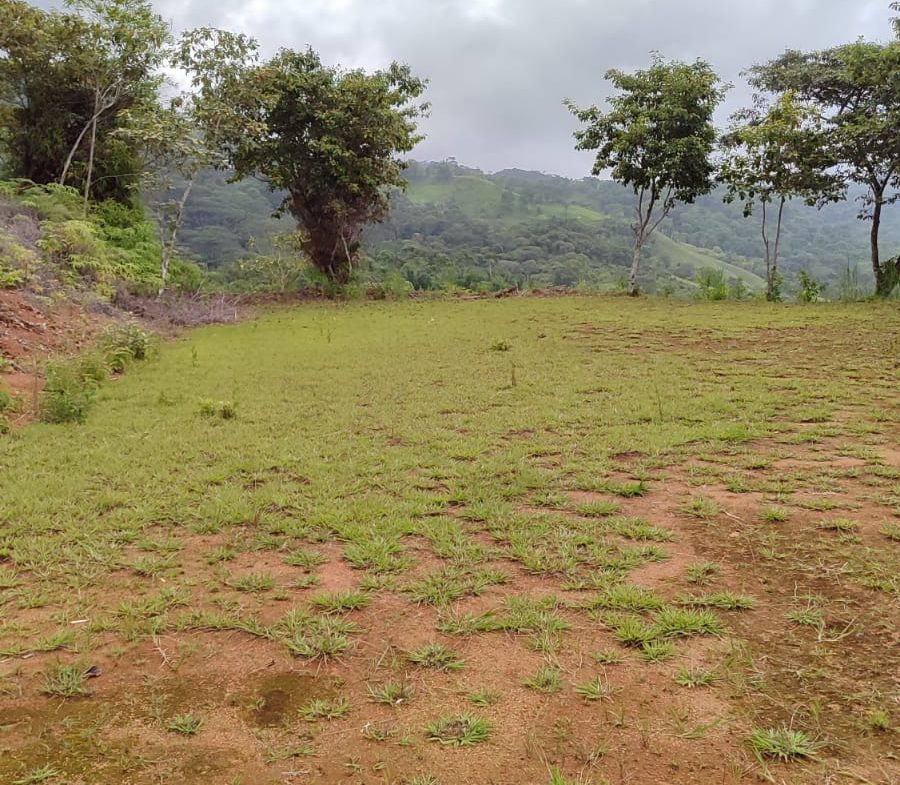OCEAN AND MOUNTAIN VIEW PEACEFUL LOT – 5.6 ACRES