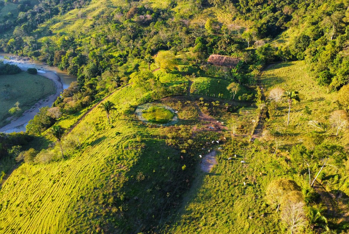 CHARMING 88 ACRES FARM WITH ABUNDANT NATURAL RESOURCES – 88.7 ACRES