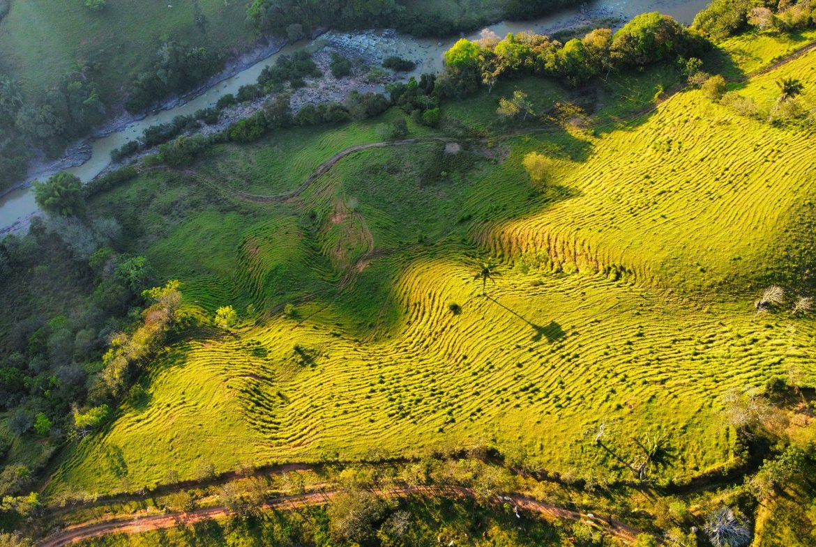 CHARMING 88 ACRES FARM WITH ABUNDANT NATURAL RESOURCES – 88.7 ACRES