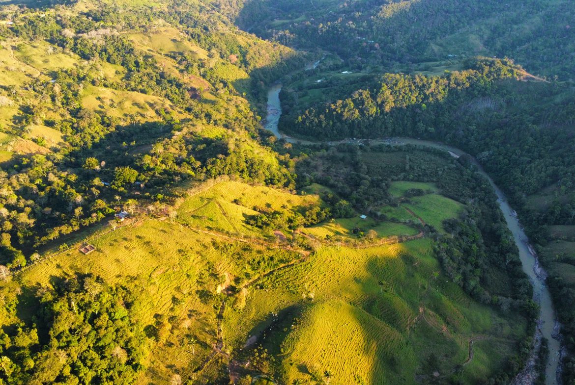 CHARMING 88 ACRES FARM WITH ABUNDANT NATURAL RESOURCES – 88.7 ACRES