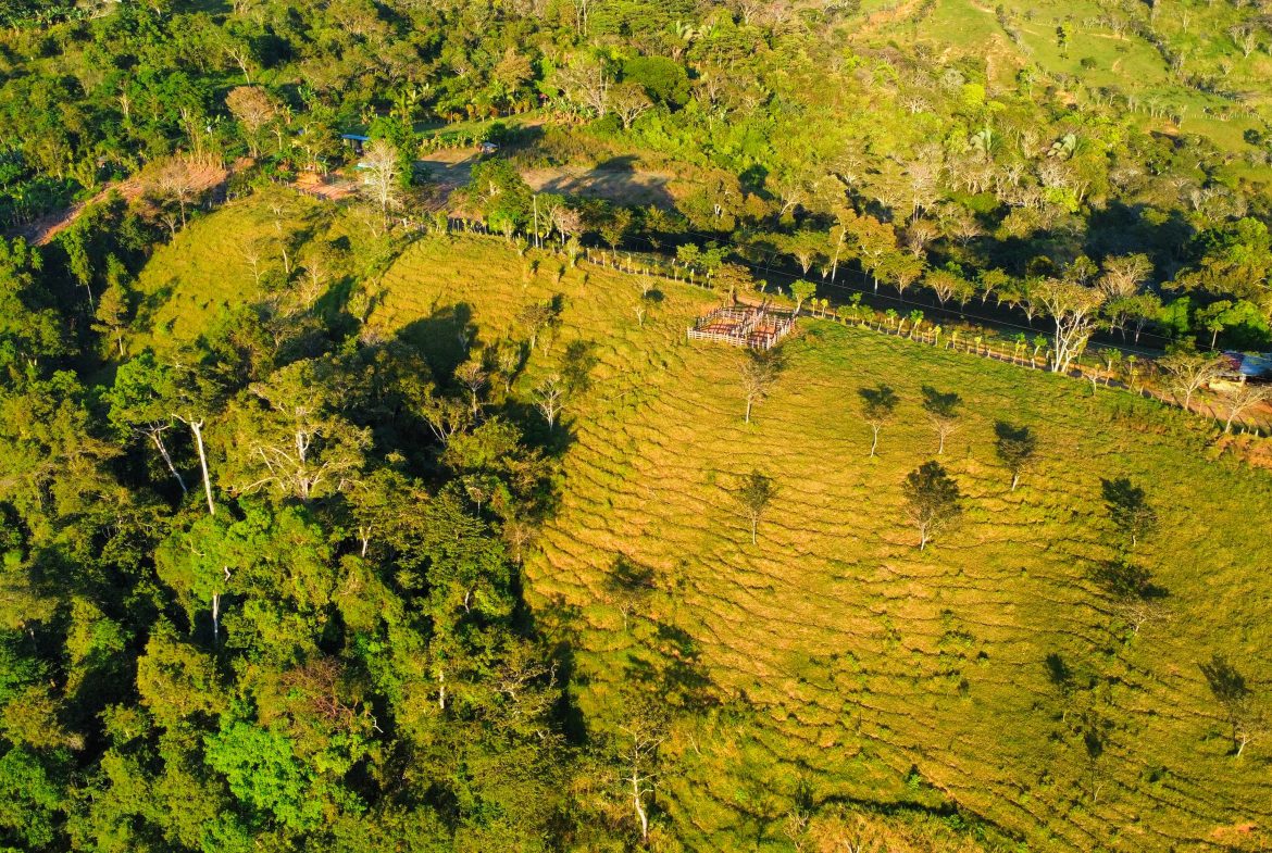CHARMING 88 ACRES FARM WITH ABUNDANT NATURAL RESOURCES – 88.7 ACRES