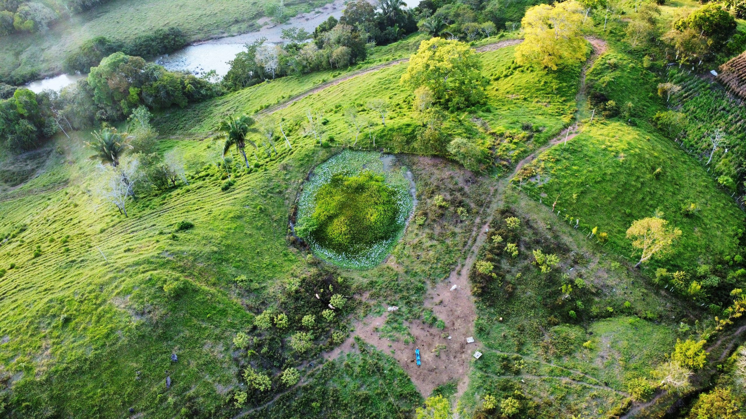 dji_fly_20240106_165142_141_1704581519423_photo_optimized_edit_1182106732838746 CHARMING 88 ACRES FARM WITH ABUNDANT NATURAL RESOURCES – 88.7 ACRES