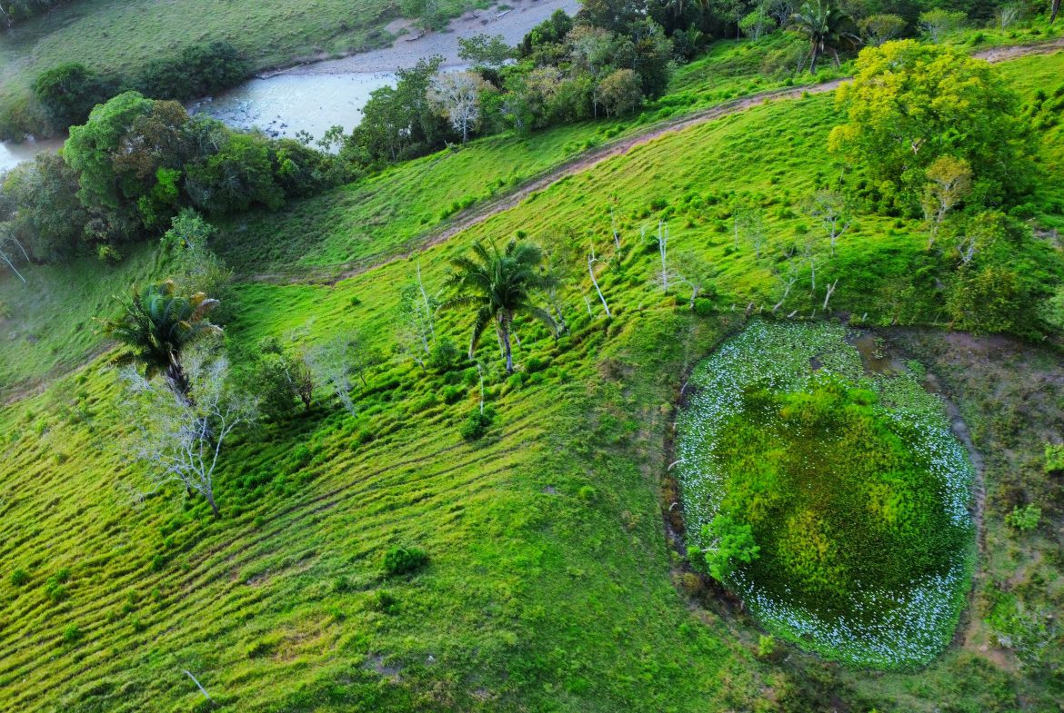 CHARMING 88 ACRES FARM WITH ABUNDANT NATURAL RESOURCES – 88.7 ACRES