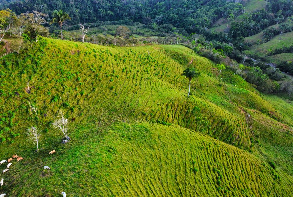 CHARMING 88 ACRES FARM WITH ABUNDANT NATURAL RESOURCES – 88.7 ACRES