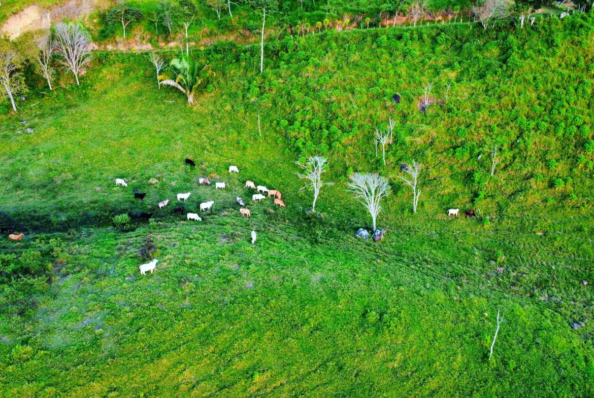 CHARMING 88 ACRES FARM WITH ABUNDANT NATURAL RESOURCES – 88.7 ACRES
