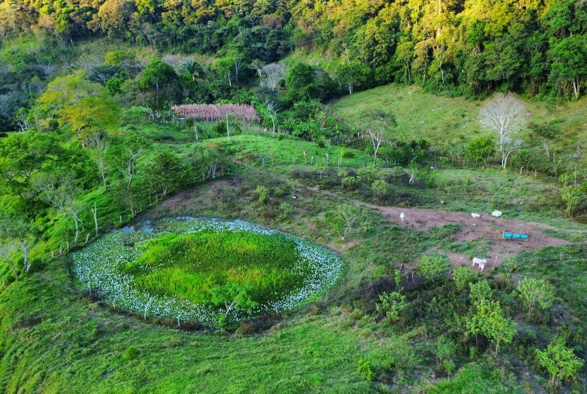 CHARMING 88 ACRES FARM WITH ABUNDANT NATURAL RESOURCES – 88.7 ACRES